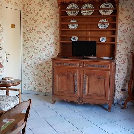 Les Brulis Chambre D'Hotes Châtillon-sur-Loire 外观 照片