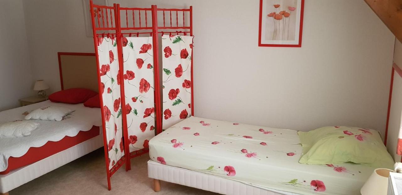 Les Brulis Chambre D'Hotes Châtillon-sur-Loire 外观 照片