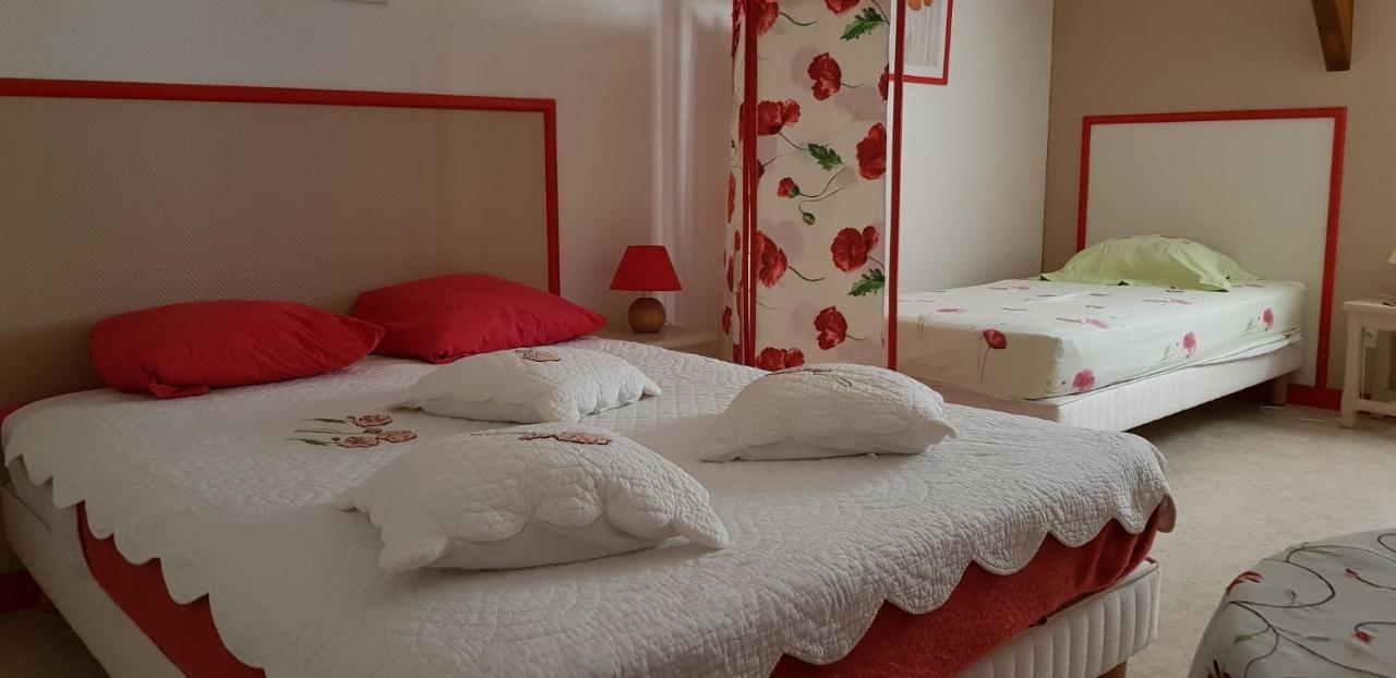 Les Brulis Chambre D'Hotes Châtillon-sur-Loire 外观 照片